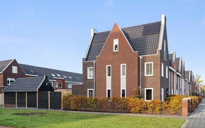 Zijdehoende. 44