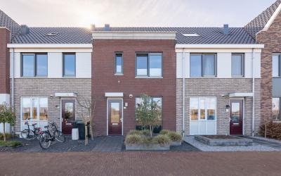 Zijdehoende. 64