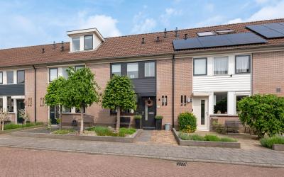 Bijenveld 5