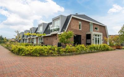 Goudkamp 113