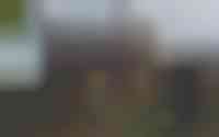 Kouter 25