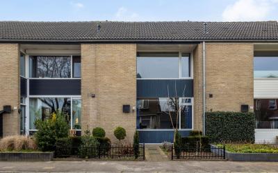 Jan van Ark. 37