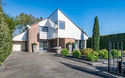 Jan van Ark. 12-B