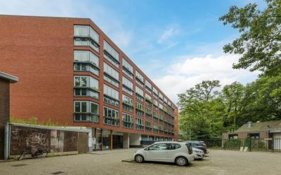 Puntenburge. 131