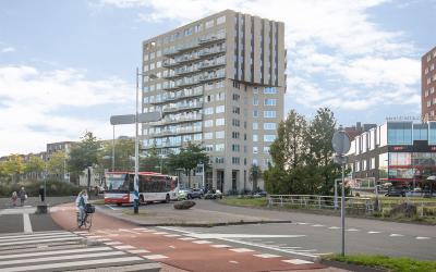 Piet Mondri. 421