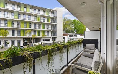 Amsterdamse. 26