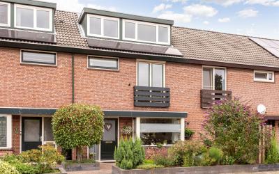 Esmoreitple. 2