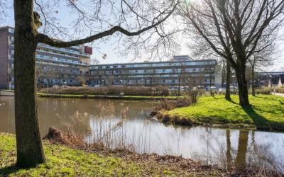 Roelandplaa. 3