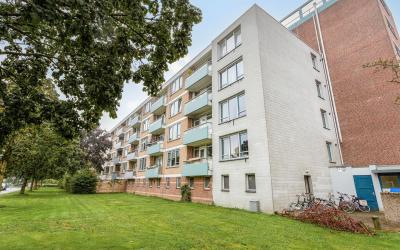 Lijsterstraat 60