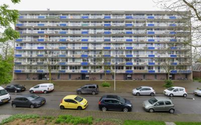 Wiekslag 113