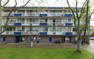 Wiekslag 205