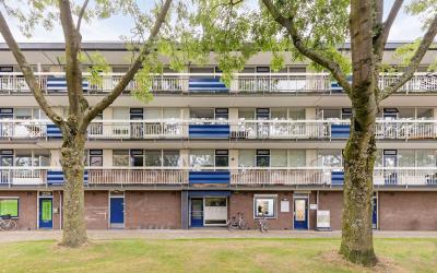 Wiekslag 219