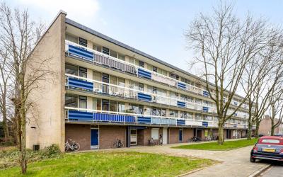 Wiekslag 241
