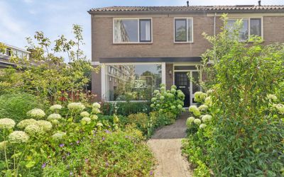 Wulpstraat 19