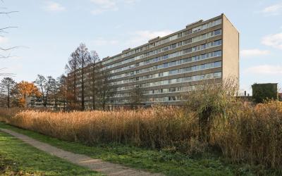 Ganzenstraat 72
