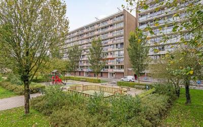 Trekvogelweg 217