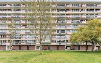 Trekvogelweg 223