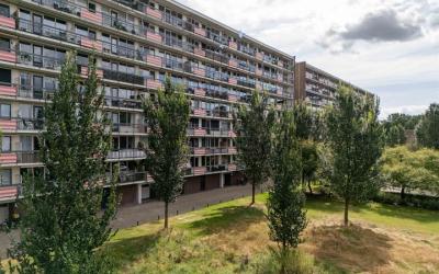 Trekvogelweg 255