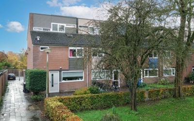 Geallieerde. 81