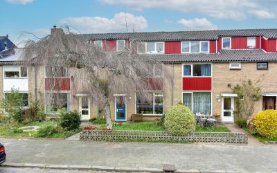 Kraanvogels. 28