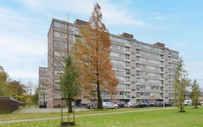 Verdiweg 295