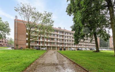 Haydnstraat 53-E