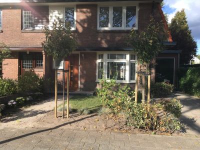 Timorstraat 36