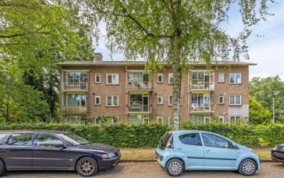 Groen van P. 42-C