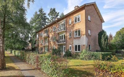Groen van P. 44-B