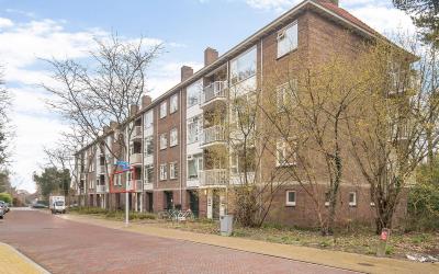 Pieter Jell. 59-A