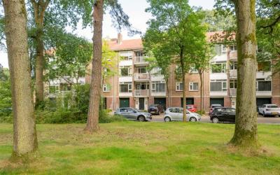 Pieter Jell. 65-A