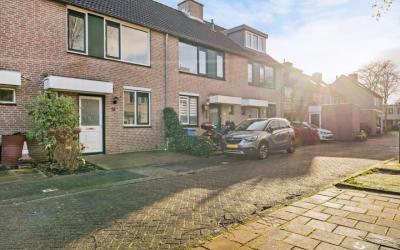 Kopervlinder 18