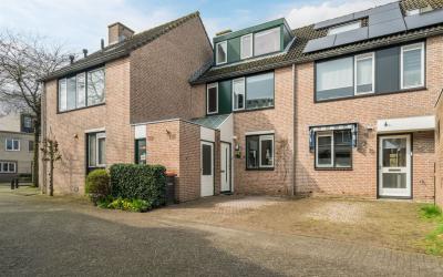 Kopervlinder 3