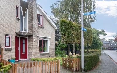 Tamboerijns. 37
