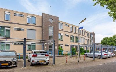 Springerstr. 19