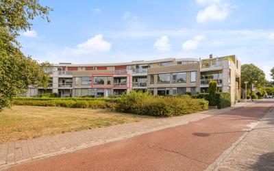 Springerstr. 53