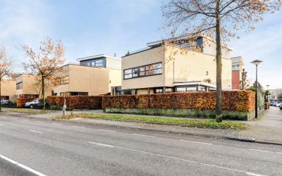 Sijsjespeer. 2
