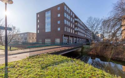 Noorderlicht 47
