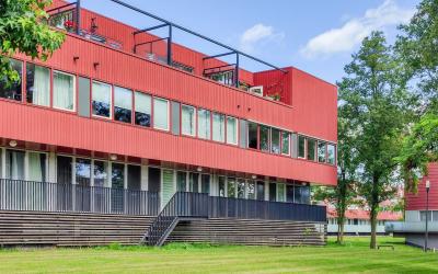Meerval 3