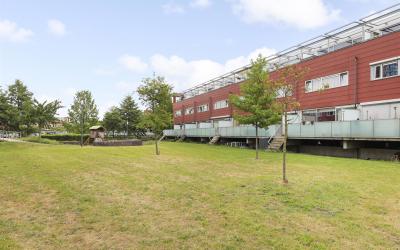 Meerval 44