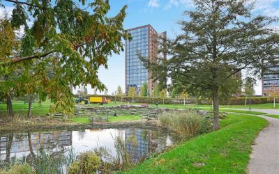 Forel 156