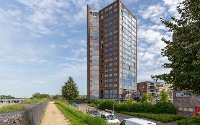 Forel 164