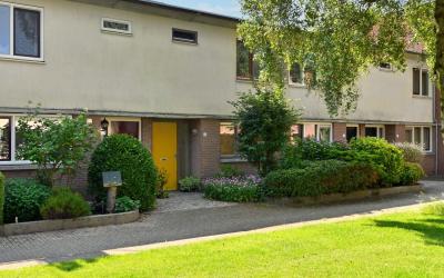 Leverkruid 16