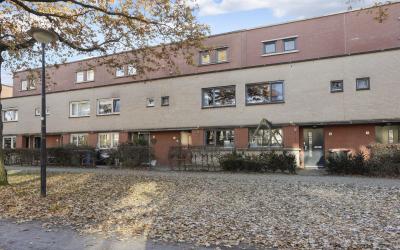 Nieuwlandse. 13