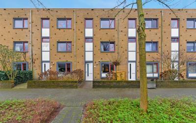 Bantpolder 38
