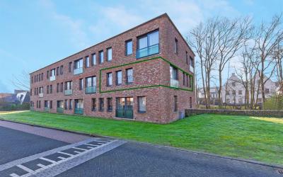 Bornberg 8