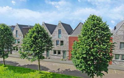 Baak van Ca. 38
