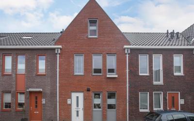 Baak van Petten 81