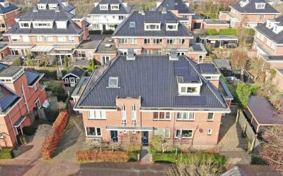 Dombosch 15