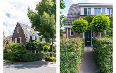 Dombosch 2